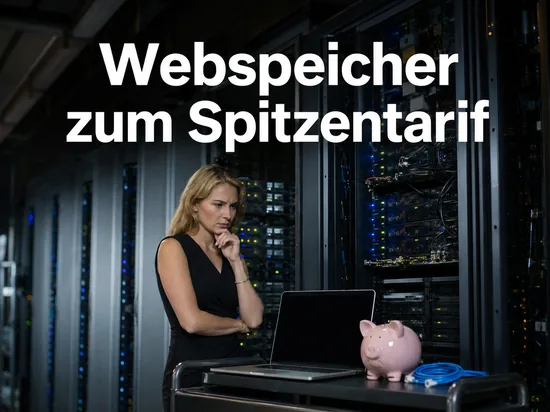 Frau am Laptop im Serverraum mit Sparschwein, Schriftzug Webspeicher zum Spitzentarif