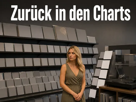 Musikgeschaeft mit Regal voller Plattenhuellen ohne Aufdruck