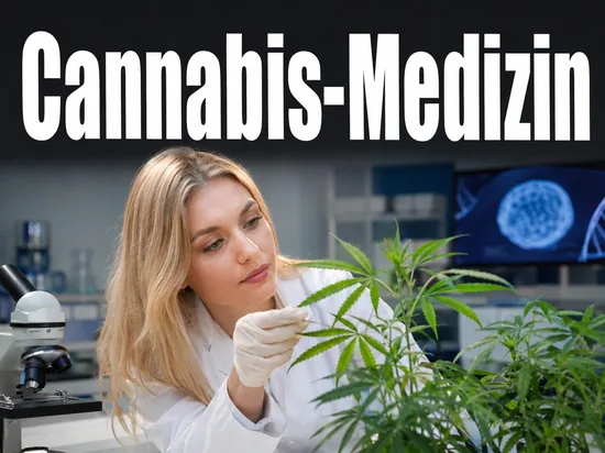 Junge blonde Wissenschaftlerin untersucht eine Cannabispflanze im Labor als Symbol fuer medizinisches Cannabis gegen Krebs