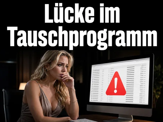 Besorgte Frau vor einem Monitor mit Downloadliste und rotem Warndreieck als Symbol fuer die Sicherheitsluecke in eMule