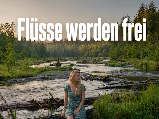Frau an einem renaturierten Bachlauf mit Totholz und jungen Bäumen