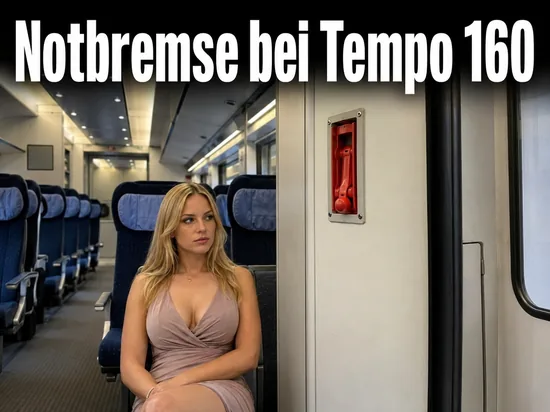 Innenraum eines Schnellzugwagens mit rotem Notbremsgriff an der Wand