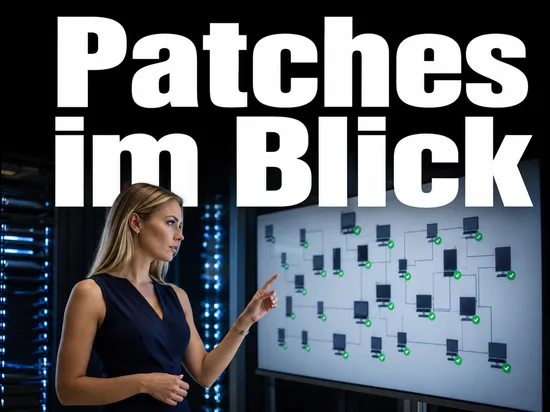 Geschaeftsfrau im Serverraum vor einer Netzwerkuebersicht mit gruenen Haken als Symbol fuer die zentrale Patch-Analyse des Remote-Task-Managers