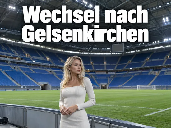 Innenraum einer Arena mit blauen Sitzreihen